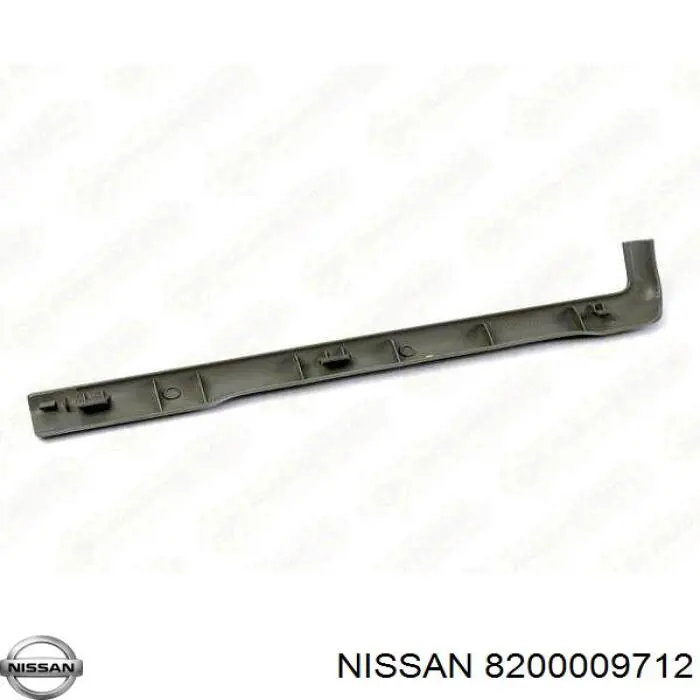 8200009712 Nissan 