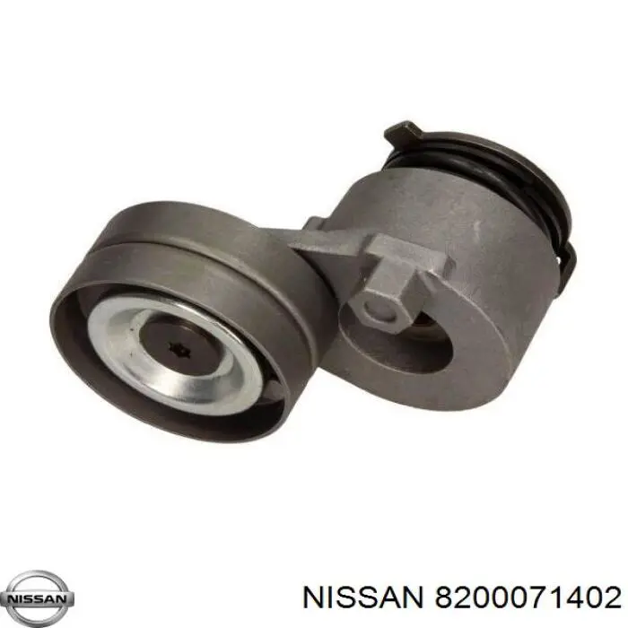 8200071402 Nissan tensor de correa, correa poli v