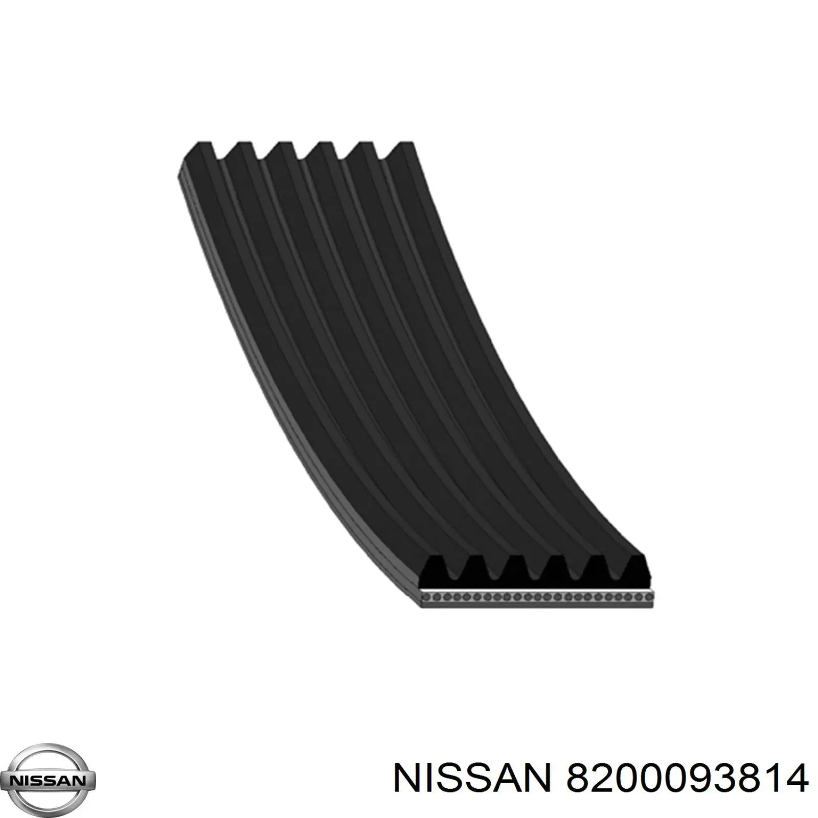 8200093814 Nissan correa trapezoidal