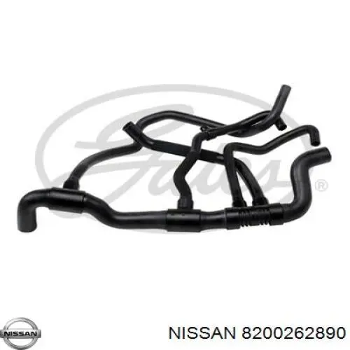  Manguera refrigerante para radiador inferiora para Nissan Primastar F4