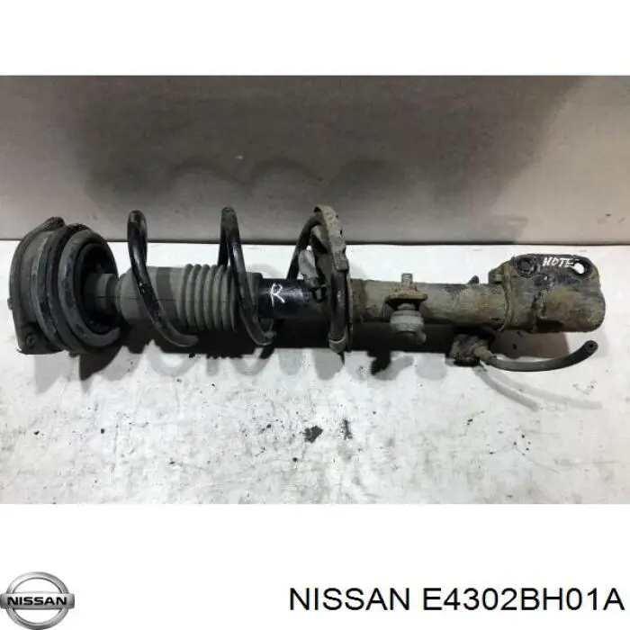 E4302BH01A Nissan amortiguador delantero derecho