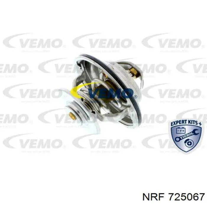 4424863 Ford termostato, refrigerante