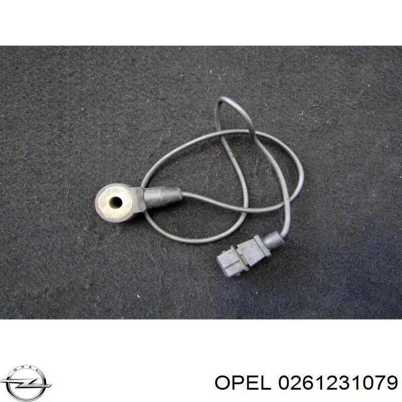 0261231079 Opel sensor de detonaciones