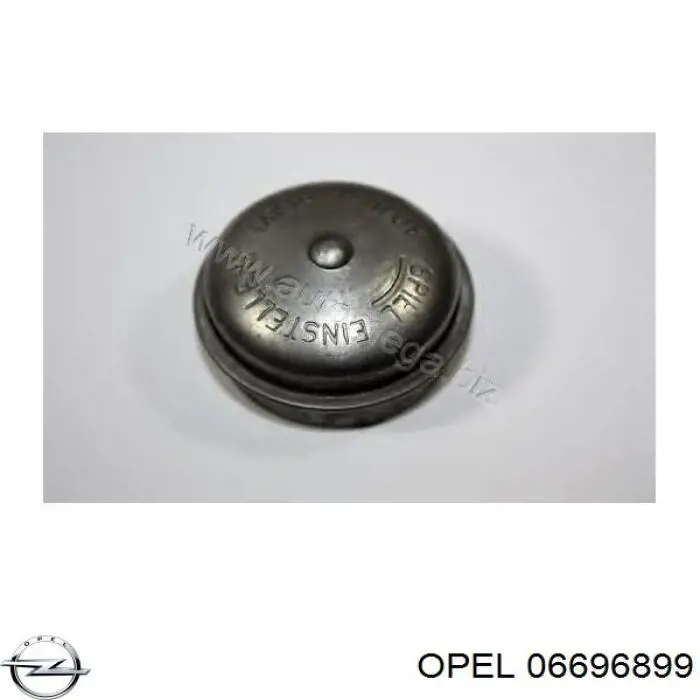 06696899 Opel tapa de buje de llanta