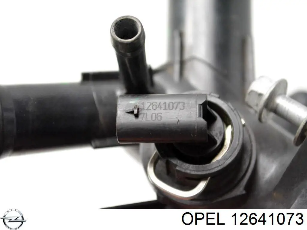 12641073 Opel 