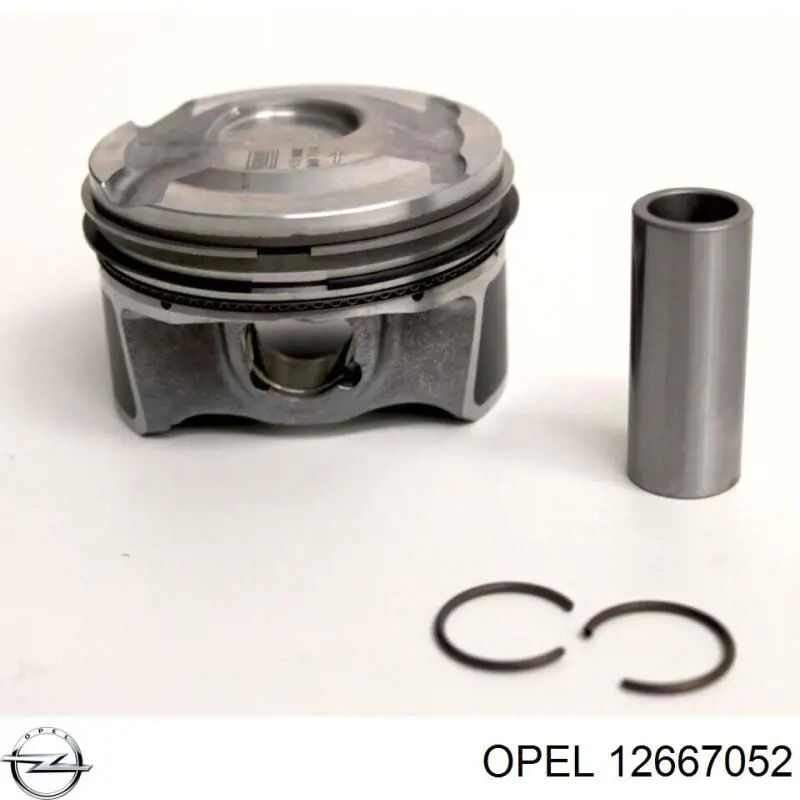 12667052 Opel 