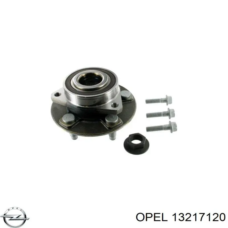 13217120 Opel 