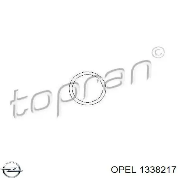 1338217 Opel junta, termostato