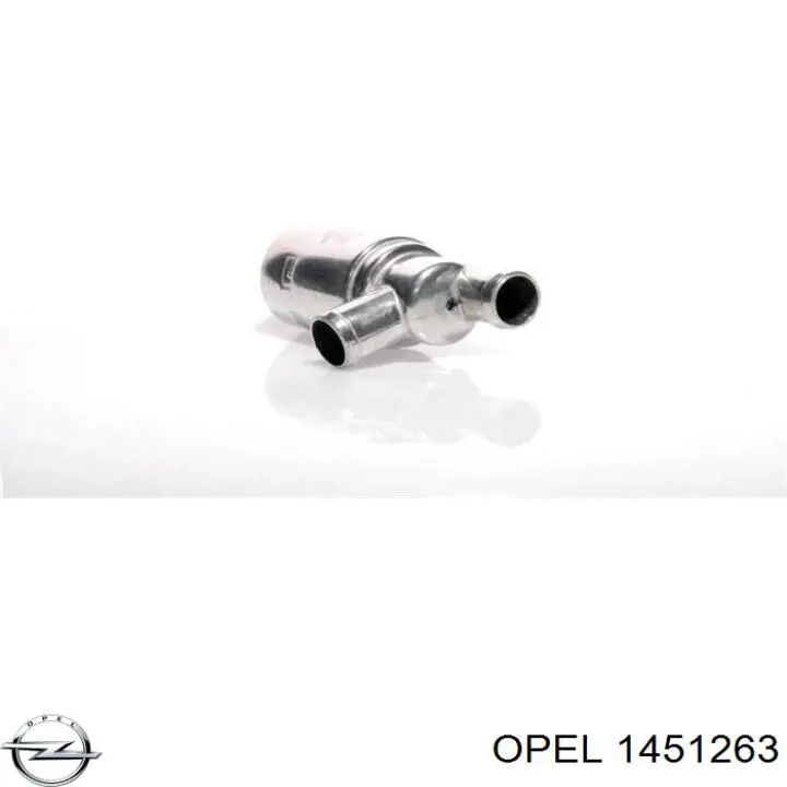 1451263 Opel tobera de agua regadora, lavado de parabrisas cristal trasero