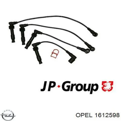 1612598 Opel juego de cables de encendido