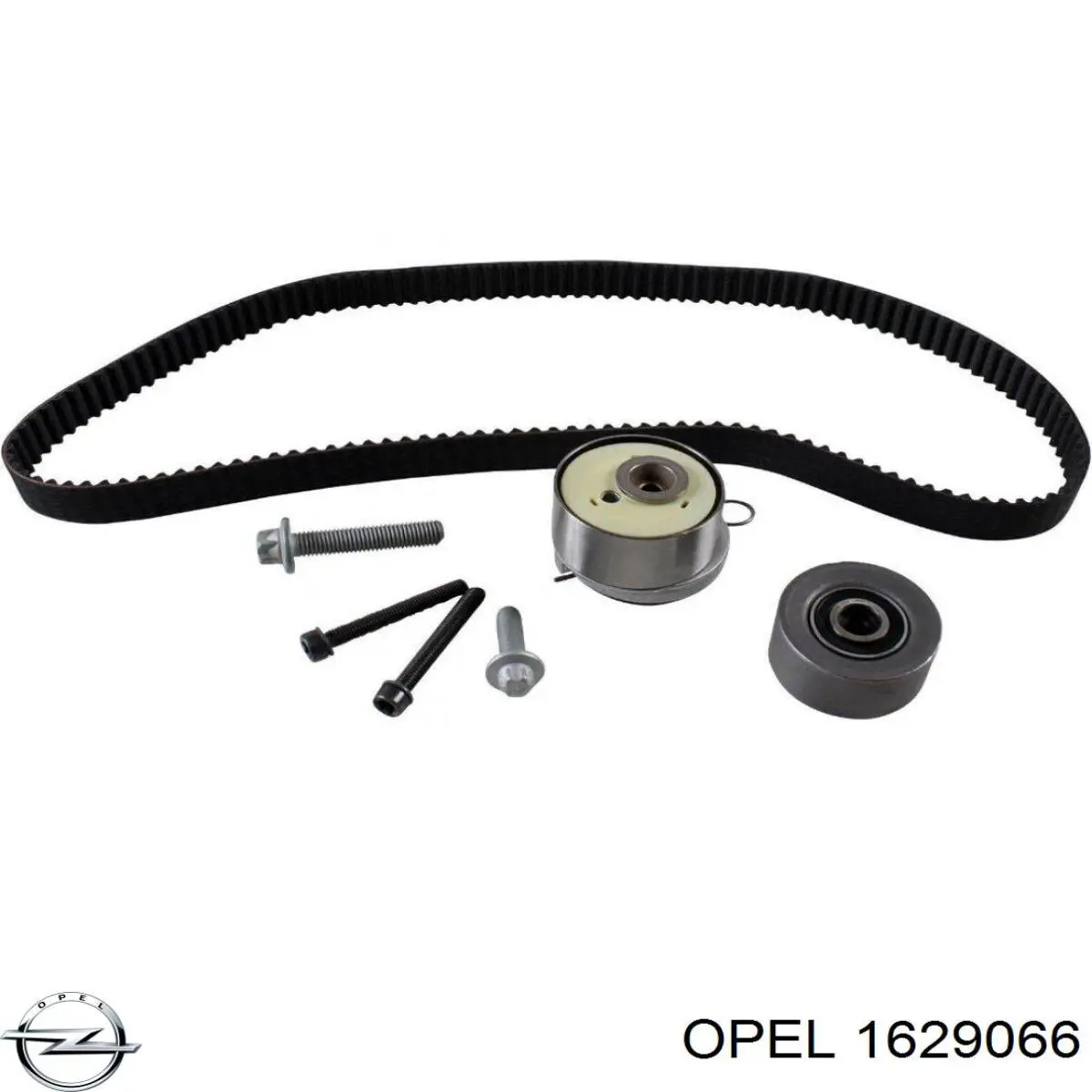 1629066 Opel kit correa de distribución