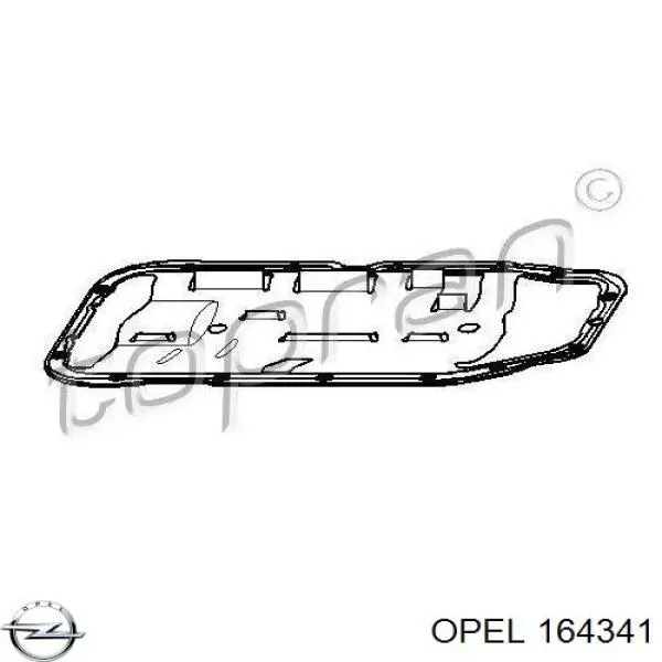 164341 Opel listón de acceso exterior trasero derecho