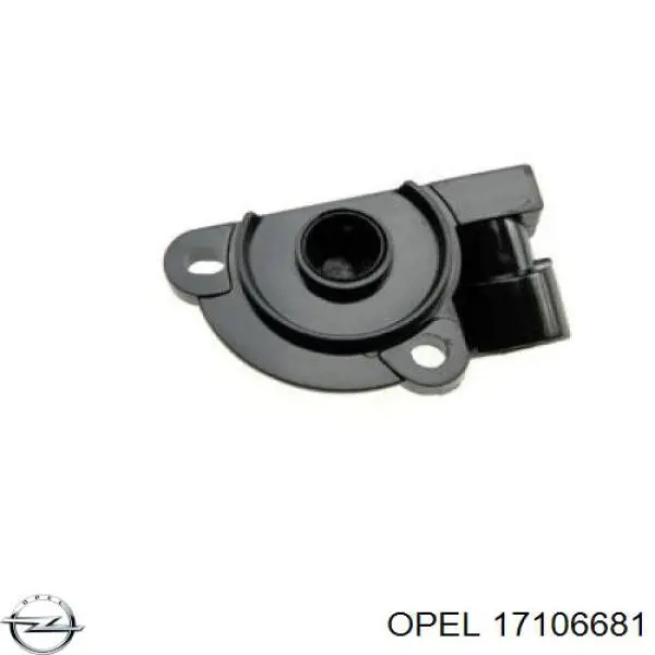 17106681 Opel sensor, posición mariposa