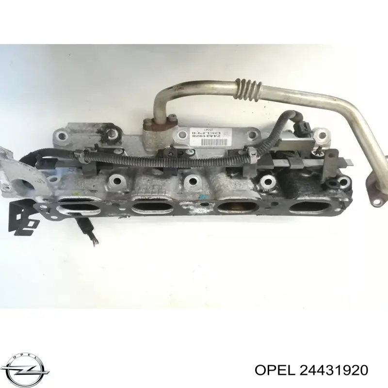 24431920 Opel 