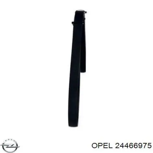 24466975 Opel correa trapezoidal