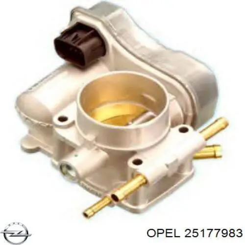 25177983 Opel cuerpo de mariposa completo