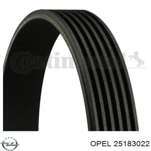 25183022 Opel correa trapezoidal