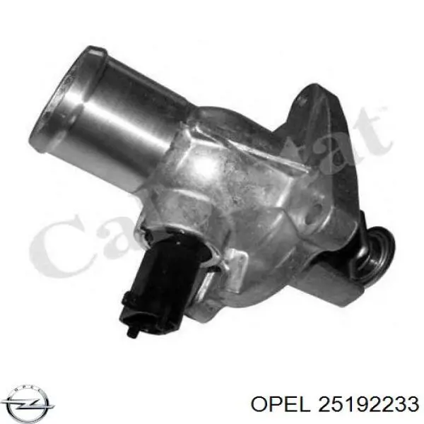 25192233 Opel termostato, refrigerante