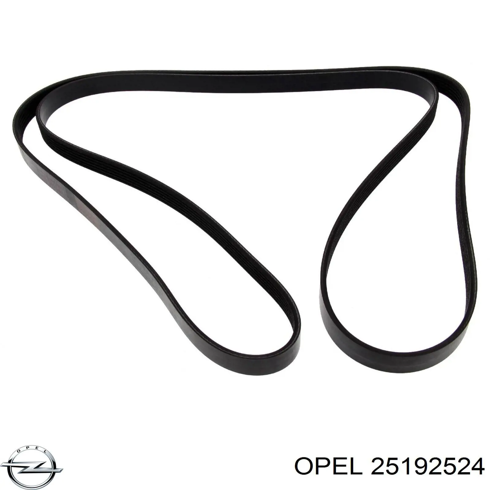 25192524 Opel correa trapezoidal