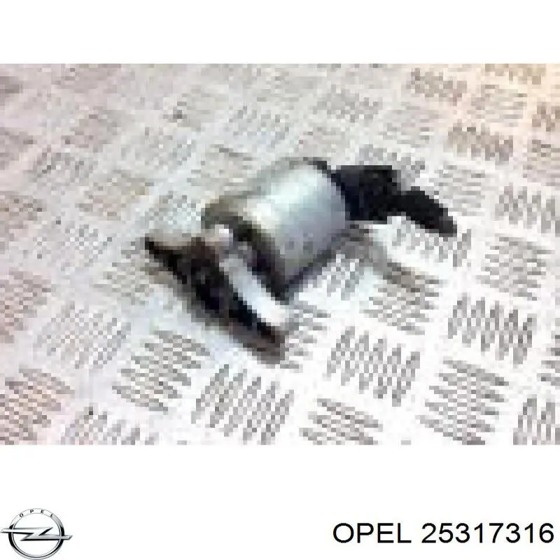 25317316 Opel inyector de combustible