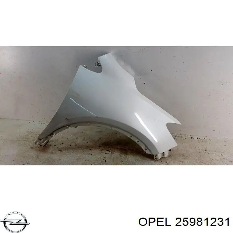 25981231 Opel guardabarros delantero derecho