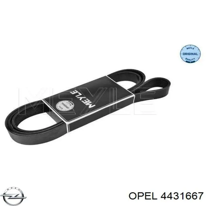 4431667 Opel correa trapezoidal