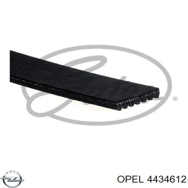 4434612 Opel correa trapezoidal