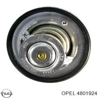 4801924 Opel termostato, refrigerante