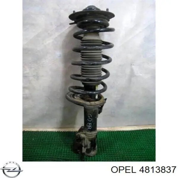 4813837 Opel amortiguador delantero izquierdo