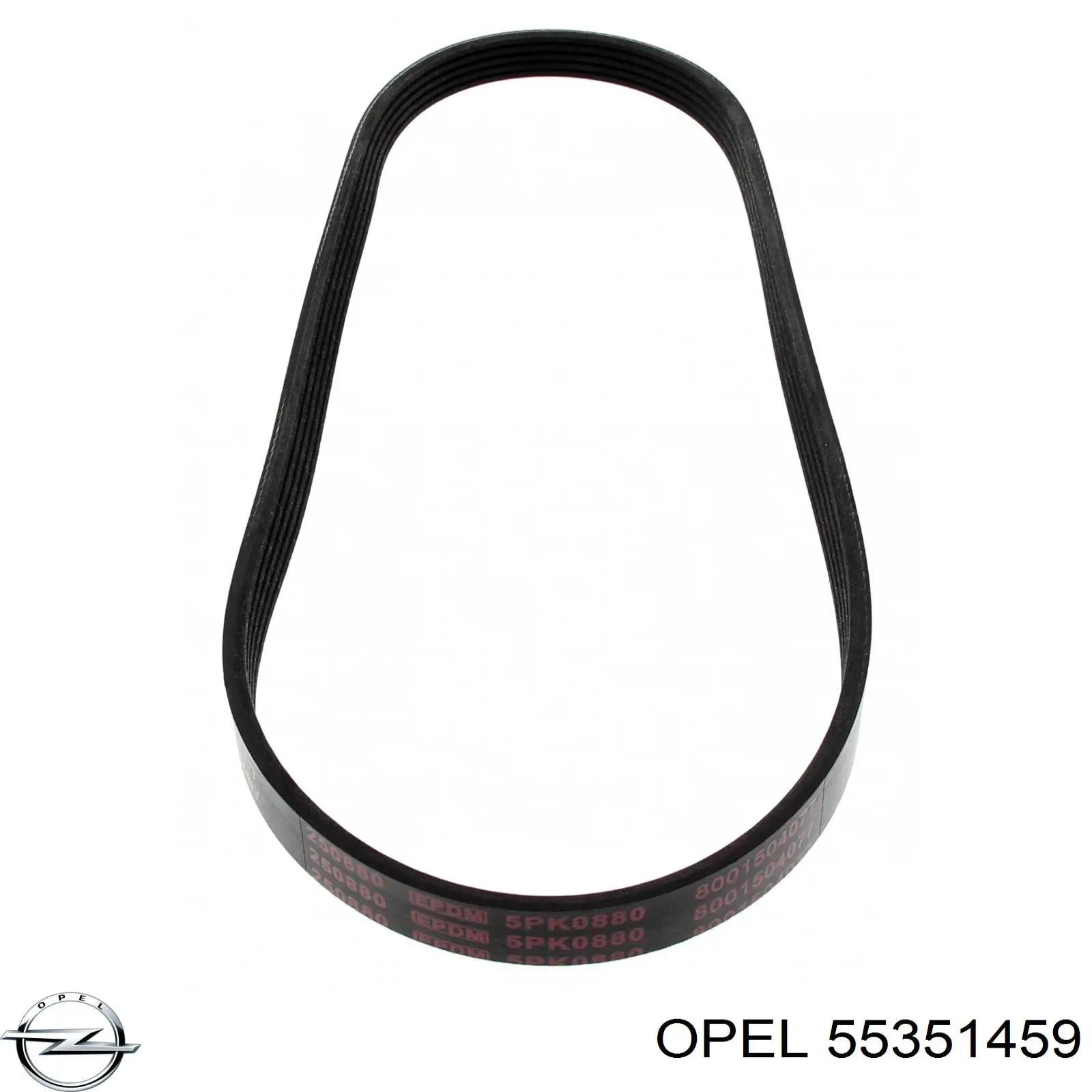 55351459 Opel correa trapezoidal