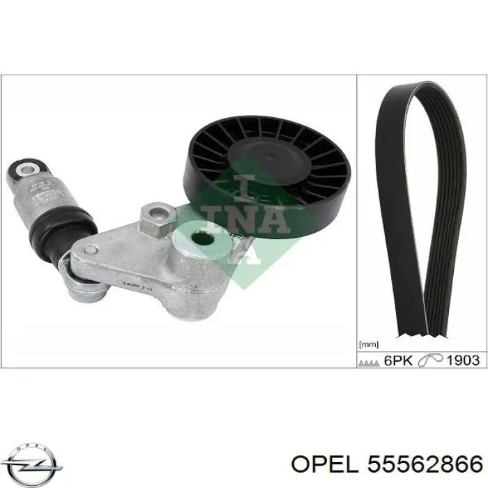 55562866 Opel correa trapezoidal