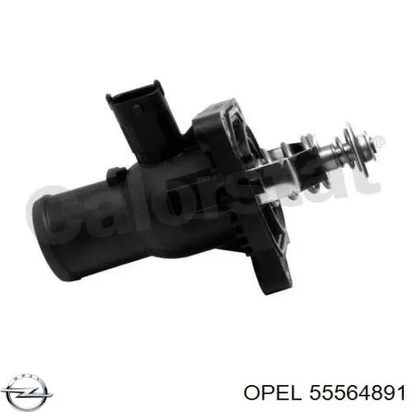 55564891 Opel termostato, refrigerante