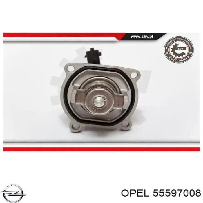 55597008 Opel termostato, refrigerante