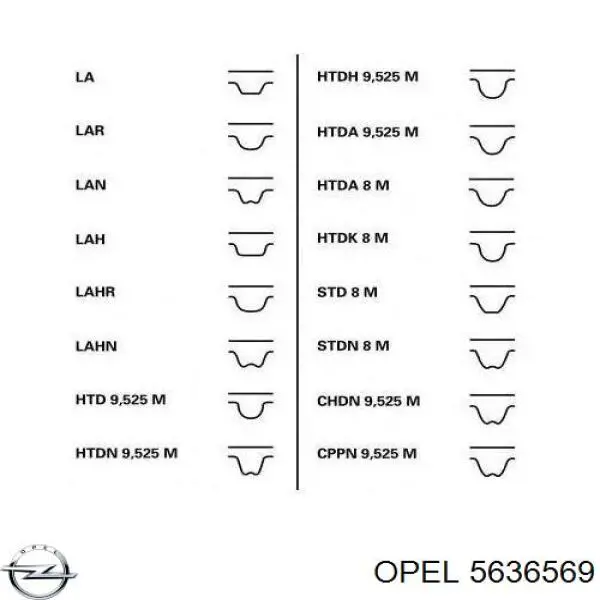 5636569 Opel 