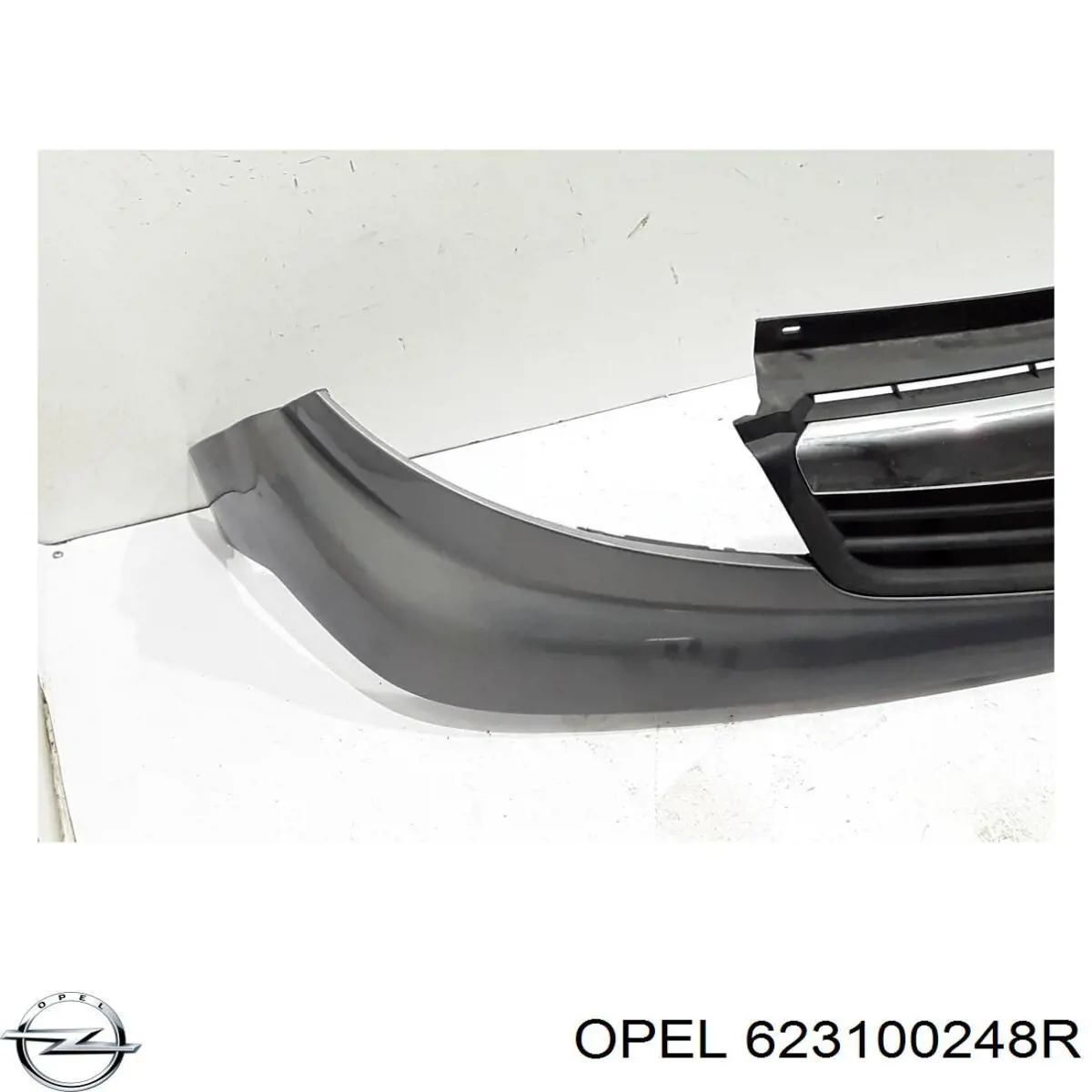 623100248R Opel 