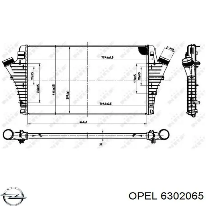 6302065 Opel radiador de aire de admisión