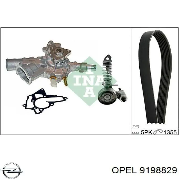 9198829 Opel correa trapezoidal