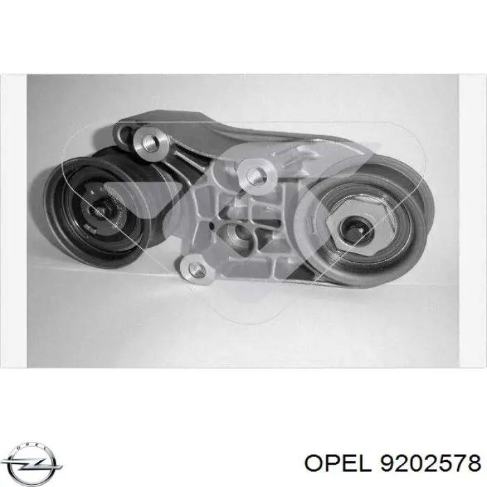 9202578 Opel tensor, correa dentada