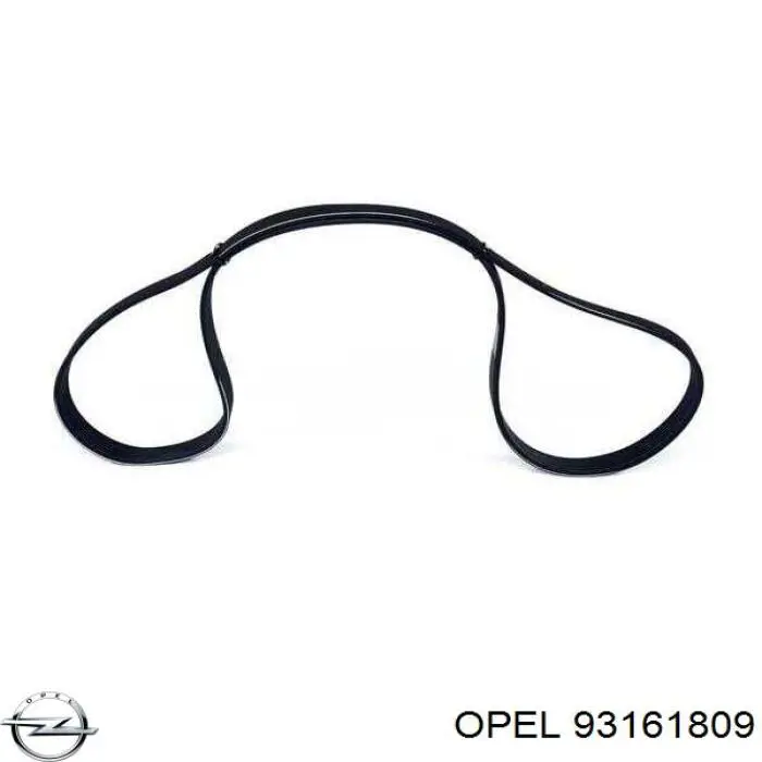 93161809 Opel correa trapezoidal