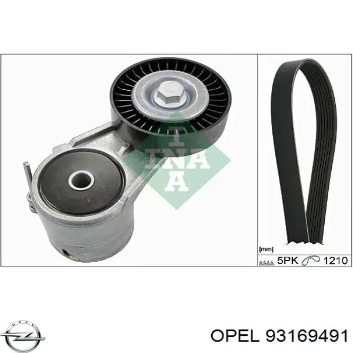 93169491 Opel correa trapezoidal