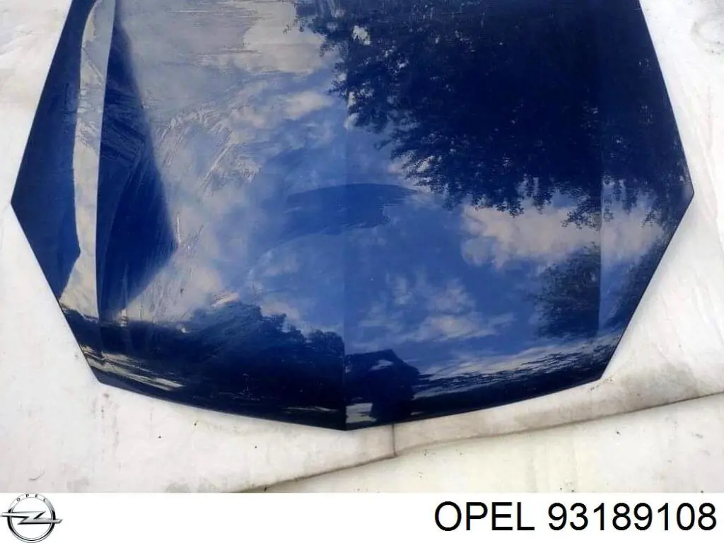 1160012 Opel capó del motor