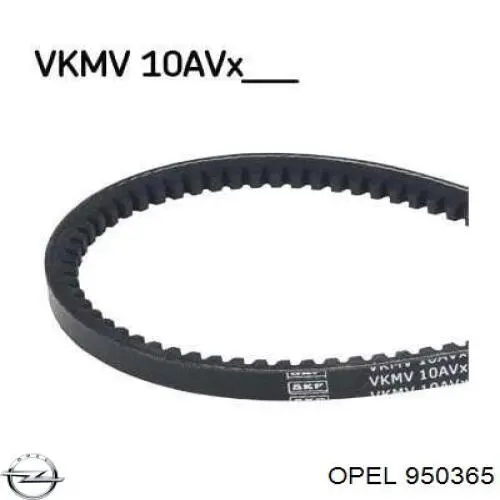 950365 Opel correa trapezoidal