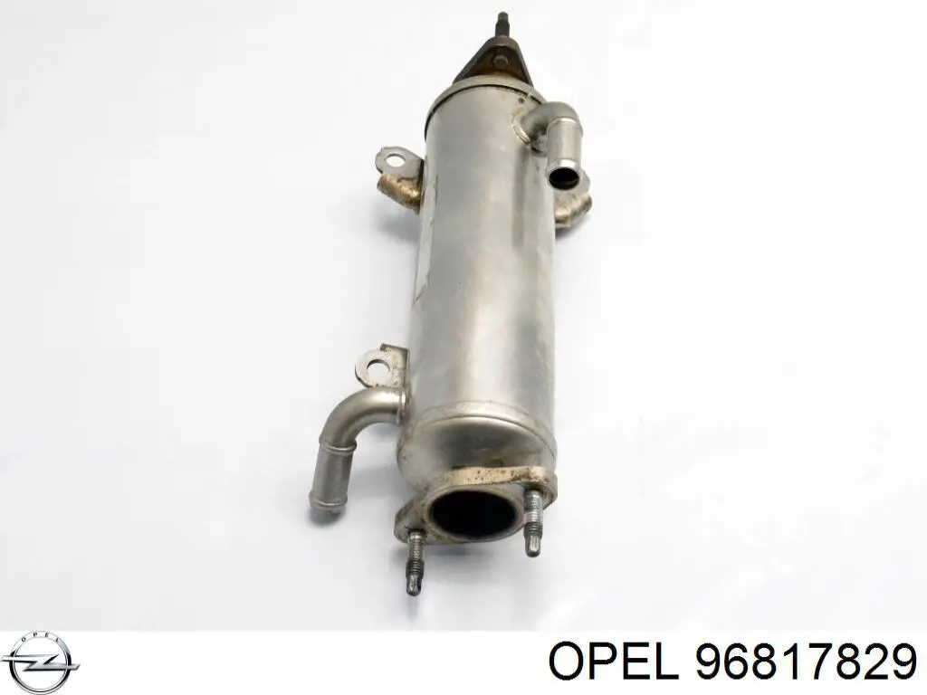 96817829 Opel 