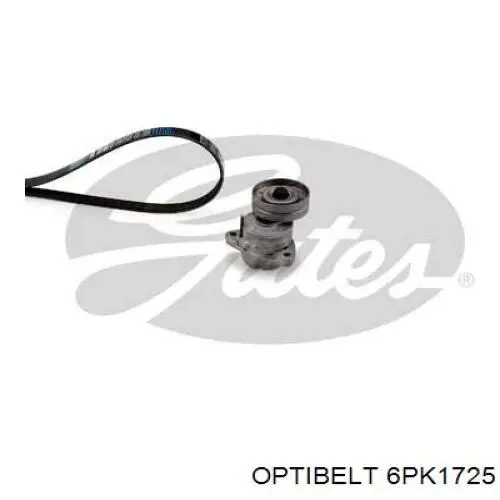 6PK1725 Optibelt correa trapezoidal