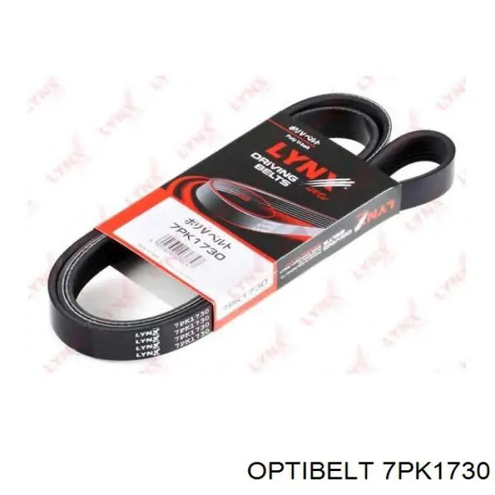 7PK1730 Optibelt correa trapezoidal