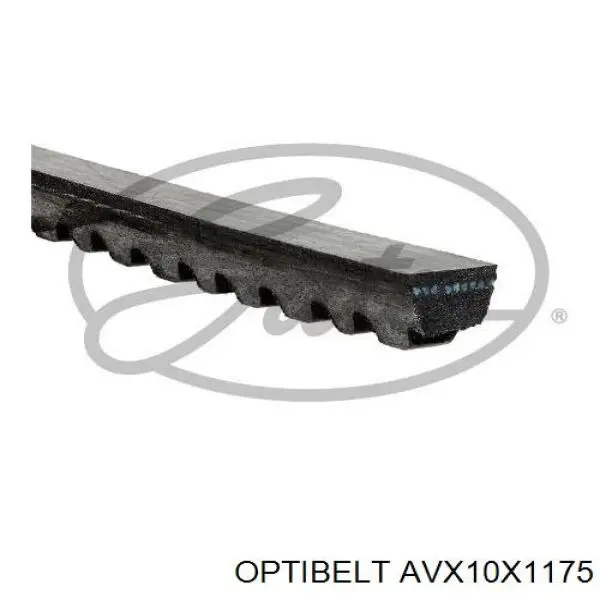 AVX10X1175 Optibelt correa trapezoidal