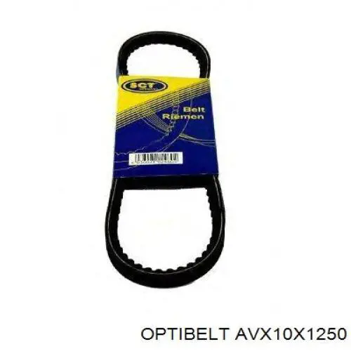 AVX10X1250 Optibelt correa trapezoidal