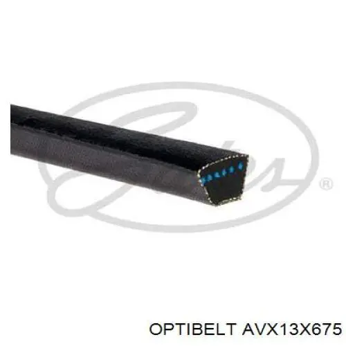 AVX13X675 Optibelt correa trapezoidal