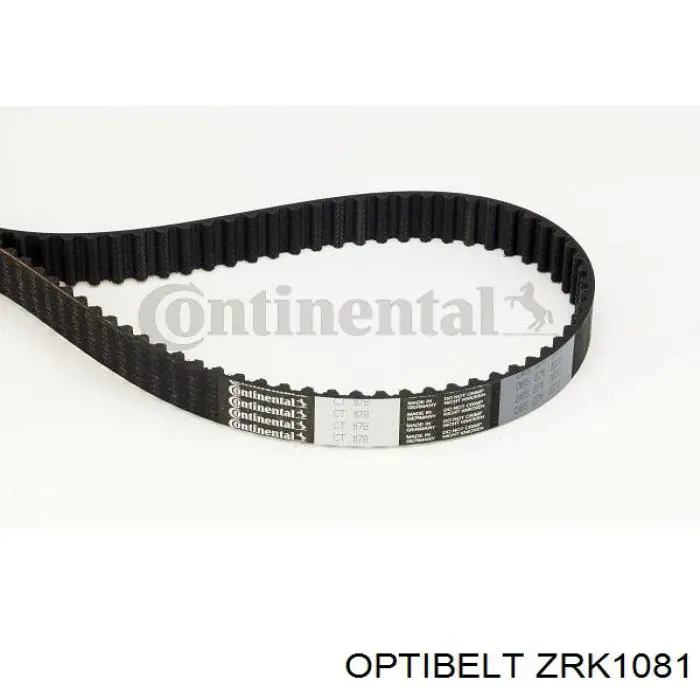 ZRK1081 Optibelt correa distribucion