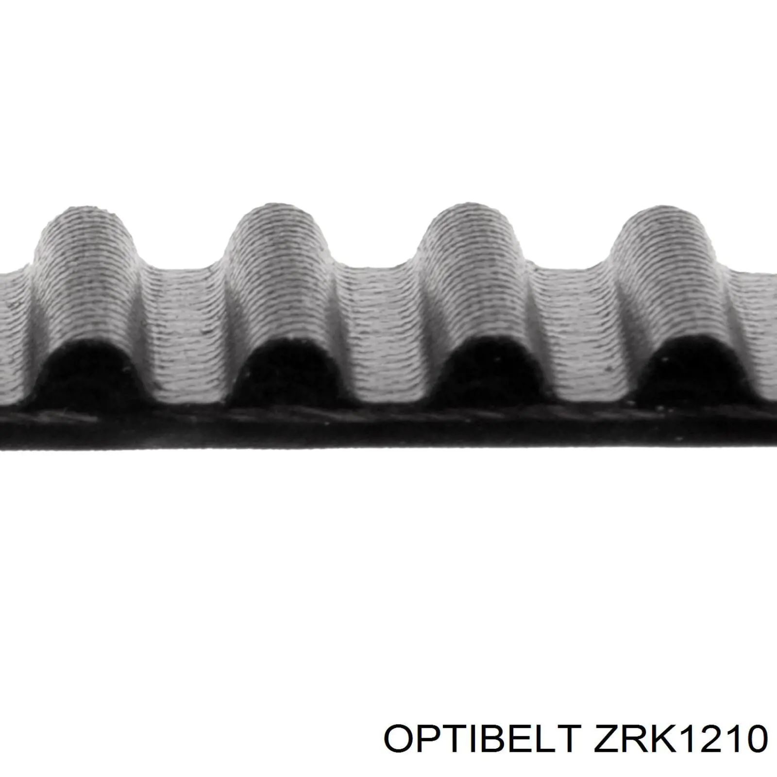 ZRK1210 Optibelt correa distribucion